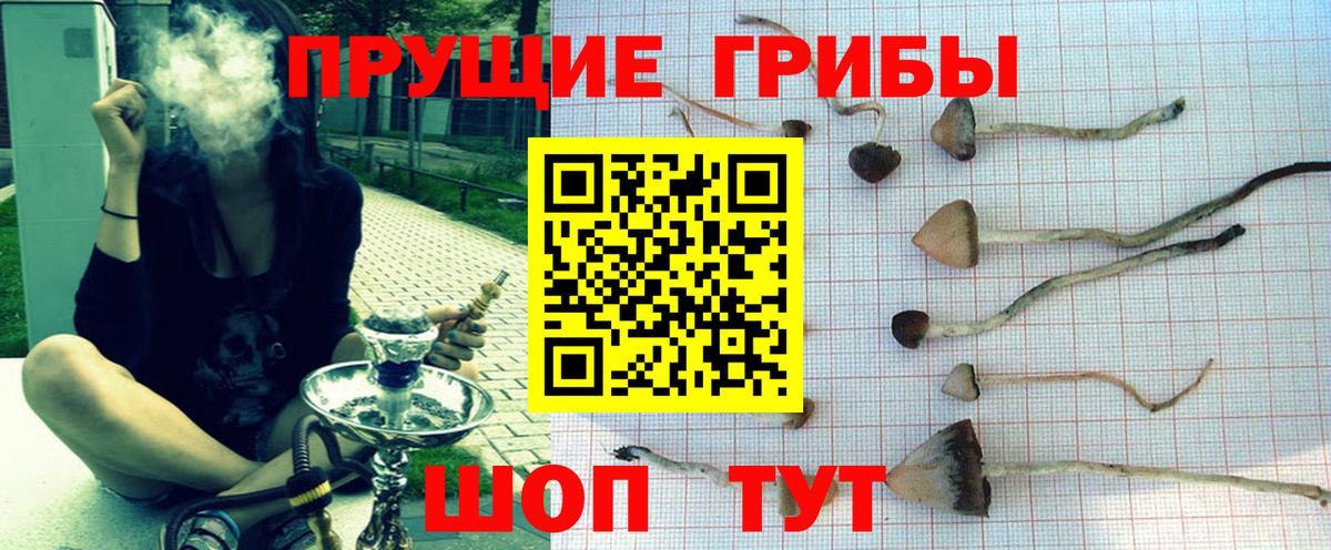 Псилоцибиновые грибы Psilocybine cubensis  Псилоцибиновые грибы MAGIC MUSHROOMS  Вход с VPN  Обь 
